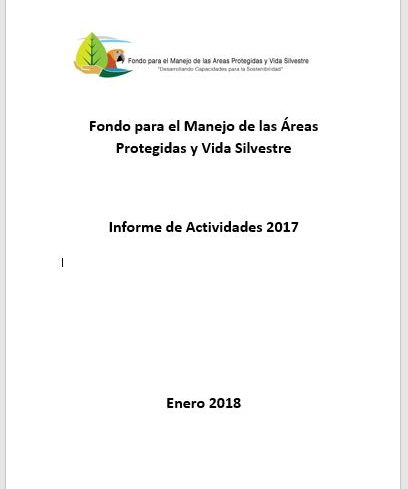 Informe 2017