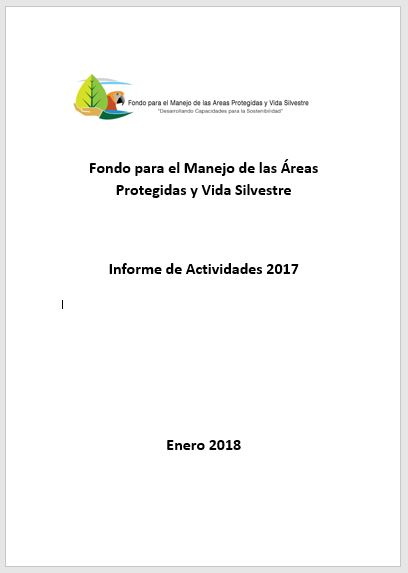 Informe 2017